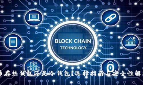 币存热钱包还是冷钱包？选择指南与安全性解析