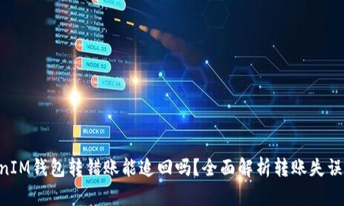 TokenTokenIM钱包转错账能追回吗？全面解析转账失误与救赎方法