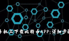 如何在苹果手机上下载比特币APP：详细步骤与推