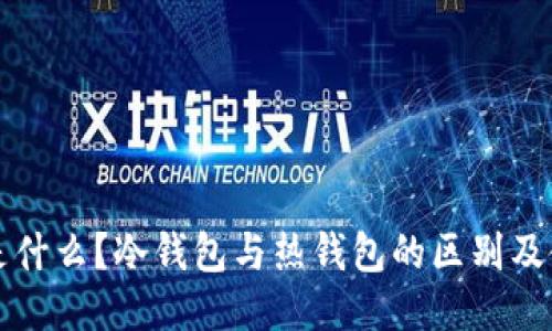 冷钱包是什么？冷钱包与热钱包的区别及使用指南