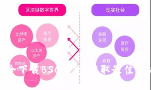 如何安全下载BSC钱包，获取最佳用户体验