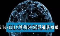 什么是TokenIM中的BNS？详解其功能与应用