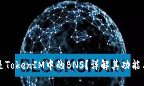 什么是TokenIM中的BNS？详解其功能与应用