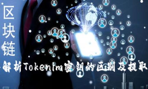 深入解析Tokenim密钥的区别及提取方法