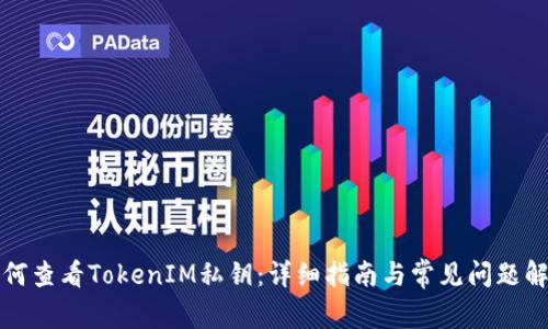 如何查看TokenIM私钥：详细指南与常见问题解答