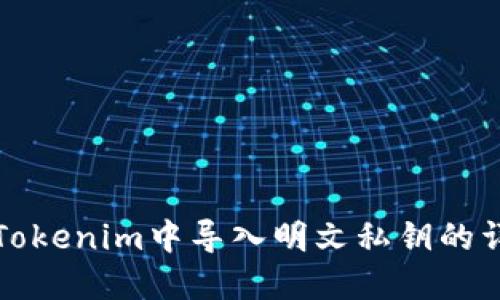 如何在Tokenim中导入明文私钥的详细指南