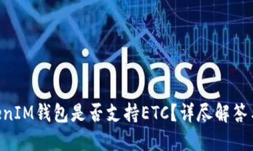 TokenTokenIM钱包是否支持ETC？详尽解答与使用指南