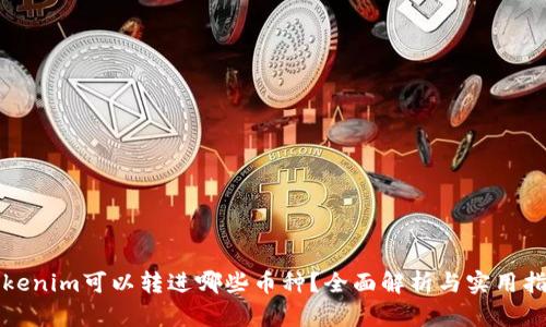 Tokenim可以转进哪些币种？全面解析与实用指南