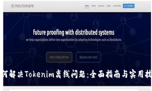 如何解决Tokenim离线问题：全面指南与实用技巧