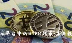 深入探索Tokenim平台中的BTFM代币：未来数字资产的