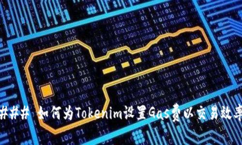 ### 如何为Tokenim设置Gas费以交易效率