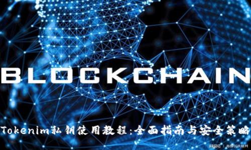 Tokenim私钥使用教程：全面指南与安全策略
