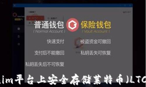 
如何在Tokenim平台上安全存储莱特币（LTC）的完整指南