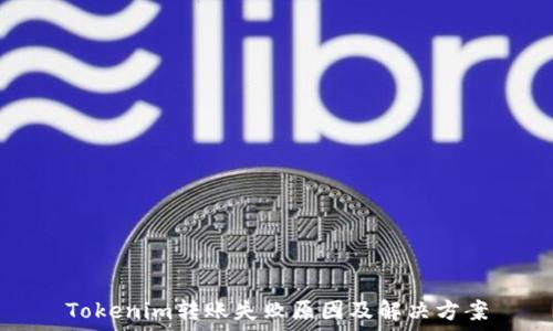   
Tokenim转账失败原因及解决方案