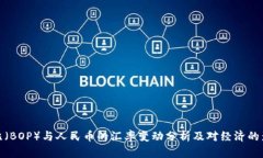 波比（BOP）与人民币的汇率变动分析及对经济的