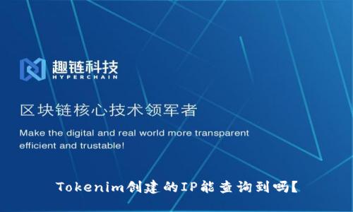 Tokenim创建的IP能查询到吗？