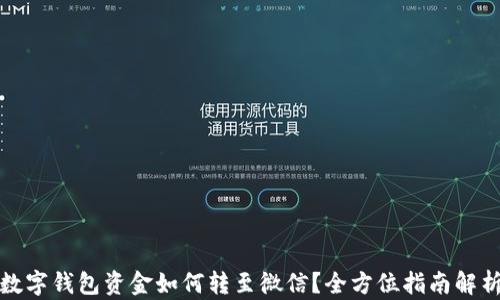 
数字钱包资金如何转至微信？全方位指南解析