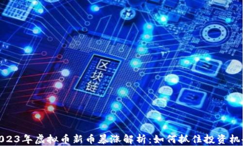 
2023年虚拟币新币暴涨解析：如何抓住投资机会