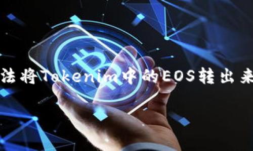 在进行EOS转账或处理Tokenim中的映射问题时，可能会遇到一些困扰，比如无法将Tokenim中的EOS转出来。以下是一个关于“Tokenim中的EOS映射转账问题及解决方案”的结构化内容。

Tokenim中的EOS映射转账问题及解决方案