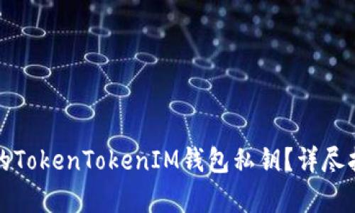 如何恢复遗失的TokenTokenIM钱包私钥？详尽指南与解决方案