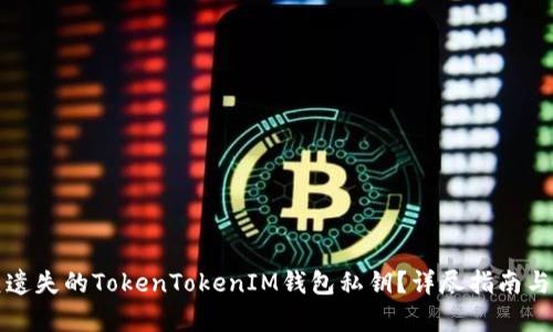 如何恢复遗失的TokenTokenIM钱包私钥？详尽指南与解决方案