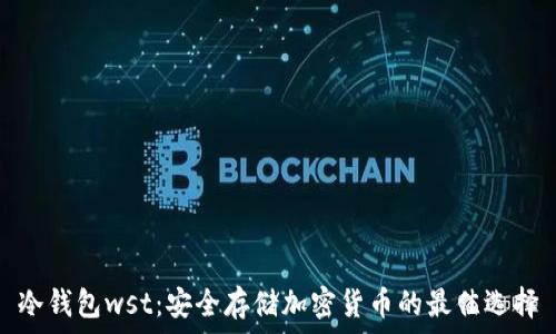   
冷钱包wst：安全存储加密货币的最佳选择