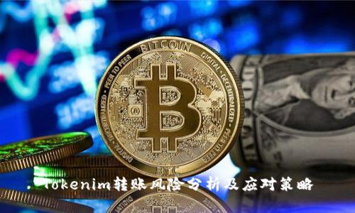 Tokenim转账风险分析及应对策略