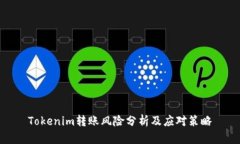 Tokenim转账风险分析及应对策略